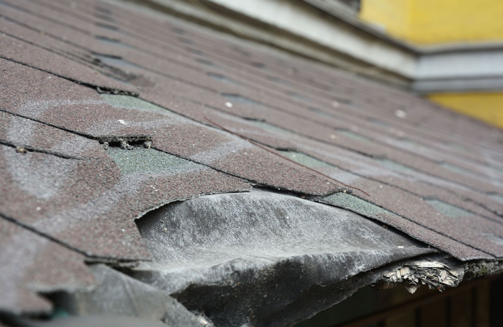 BNL Home Improvements  Images