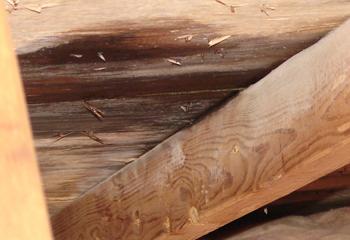 BNL Home Improvements Images