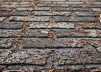 BNL Home Improvements Images